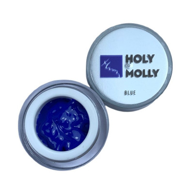 HOLY MOLLY PAINT GEL - BLUE, 5 gr