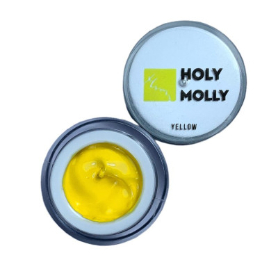 HOLY MOLLY PAINT GEL - YELLOW, 5 gr